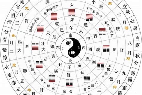 天干地支 年份|干支